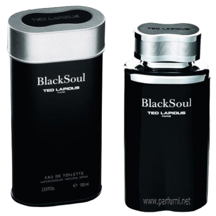 Туалетная вода Ted Lapidus Black Soul | 100ml