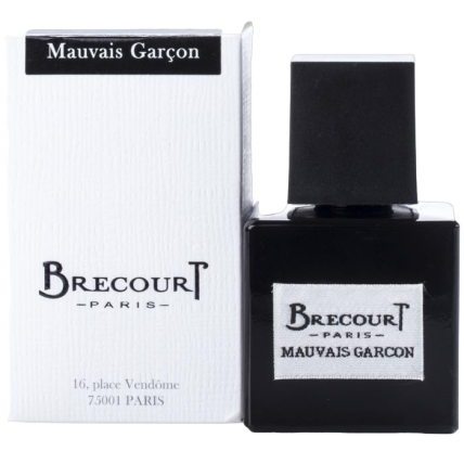 Парфюмерная вода Brecourt Mauvais Garcon | 50ml