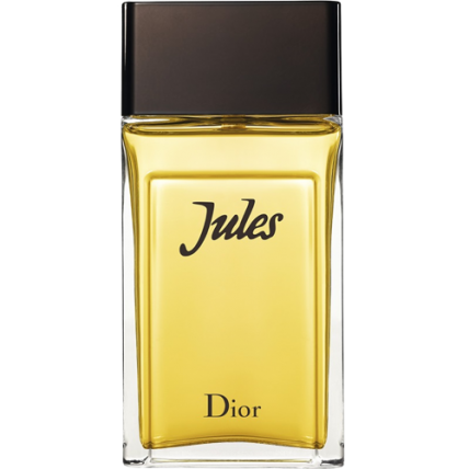 Туалетная вода Christian Dior JULES 2016 | 100ml